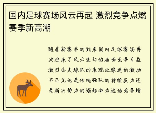 国内足球赛场风云再起 激烈竞争点燃赛季新高潮