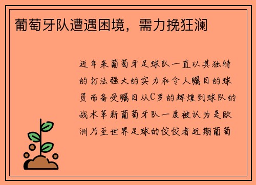 葡萄牙队遭遇困境，需力挽狂澜
